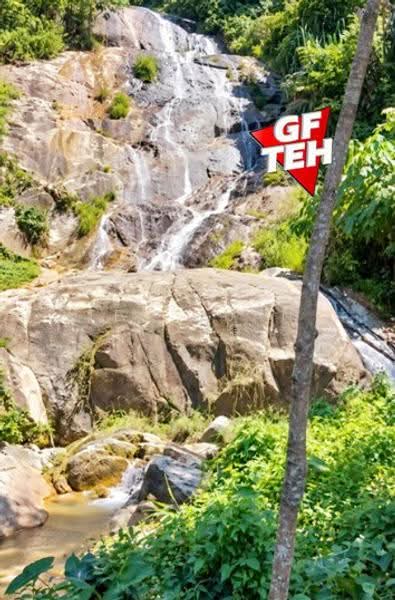 Agricultural Land for Sale in Balik Pulau (Penang) - Teh Guan Fong - PropertyGuru.com.my
