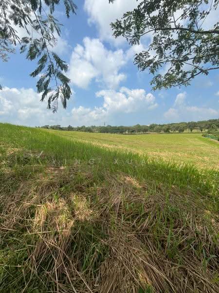 Bungalow Land for Sale in Leisure Farm (Gelang Patah) - Ying Xuan - PropertyGuru.com.my