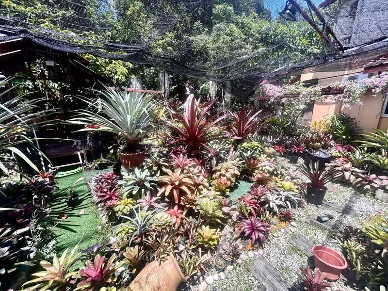 Rumah Teres 2-Tingkat untuk Dijual di Alam Damai (Cheras) - Azli Ibrahim - Garden - PropertyGuru.com.my