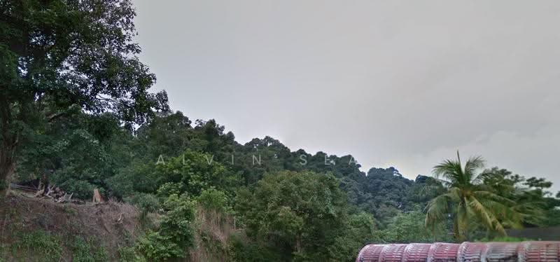 Tanah Pertanian untuk Dijual di Bukit Mertajam (Penang) - Alvin Seah - PropertyGuru.com.my