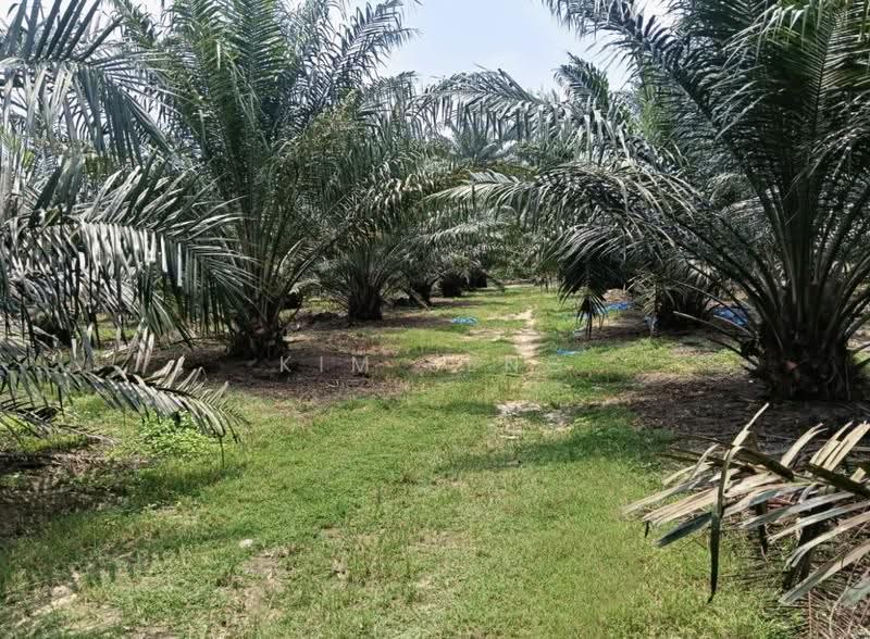 Tanah Pertanian untuk Dijual di Kluang (Johor) - Kim Seng - PropertyGuru.com.my