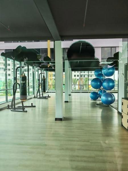 Pangsapuri untuk Disewa di Savana @ Batu Kawan - Boon Haw Ooi - Gym - PropertyGuru.com.my