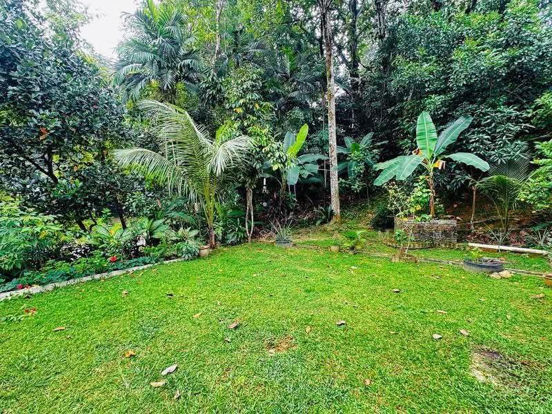 Bungalow House for Sale in Seksyen 16 (Petaling Jaya) - Yasmin Sulaiman - Garden - PropertyGuru.com.my