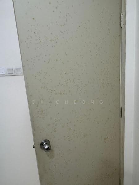 Condominium for Rent at Platinum Lake PV 13 - CK Cheong - Interior - PropertyGuru.com.my