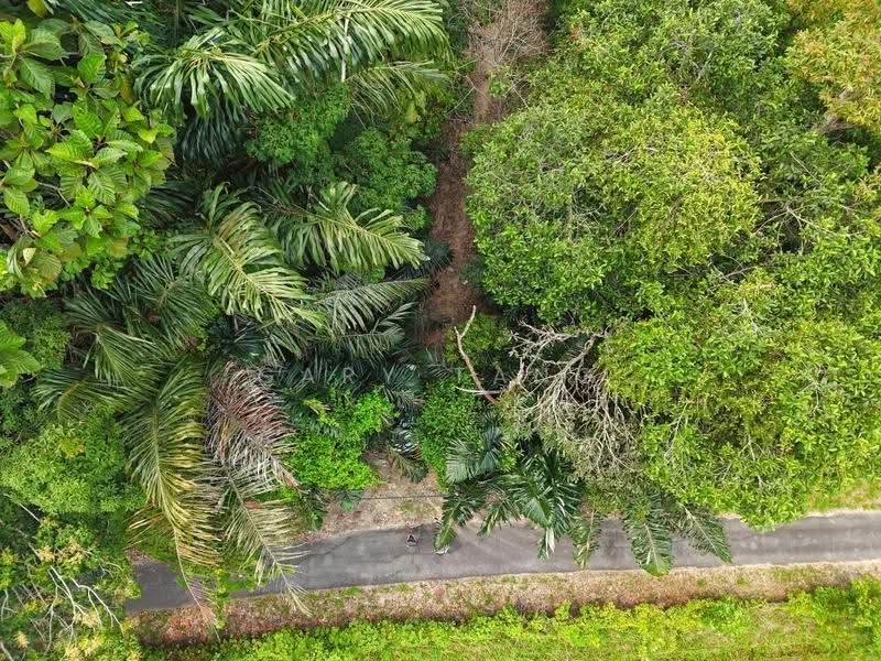Agricultural Land for Sale in Kuala Kangsar (Perak) - Gary Tang - PropertyGuru.com.my