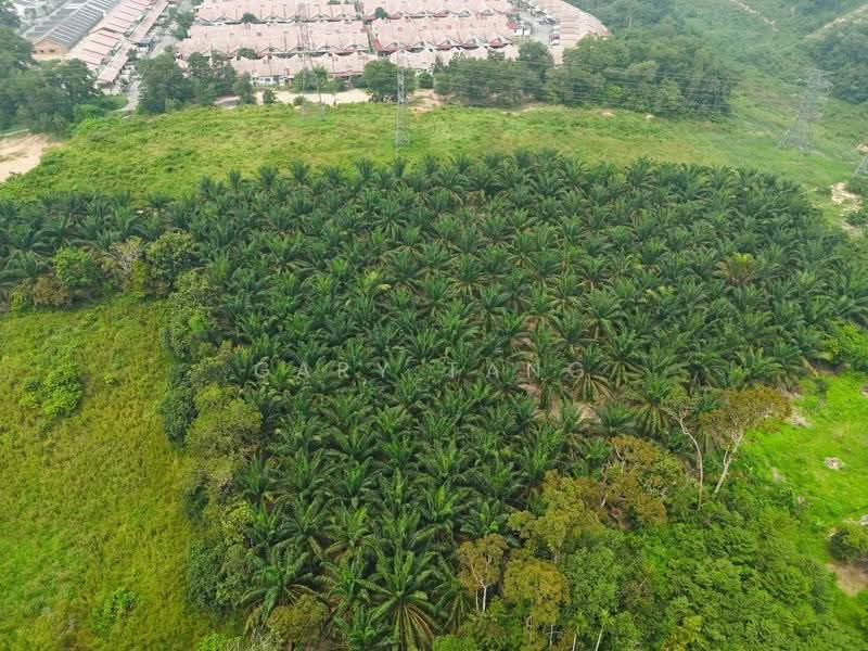 Agricultural Land for Sale in Kuala Kangsar (Perak) - Gary Tang - Exterior - PropertyGuru.com.my