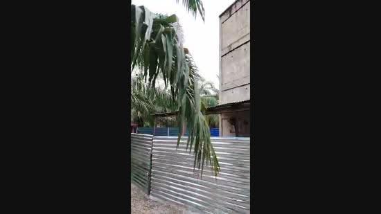 Agricultural Land for Sale in Bagan Tengkorak (Tanjong Karang) - TY Ng - PropertyGuru.com.my