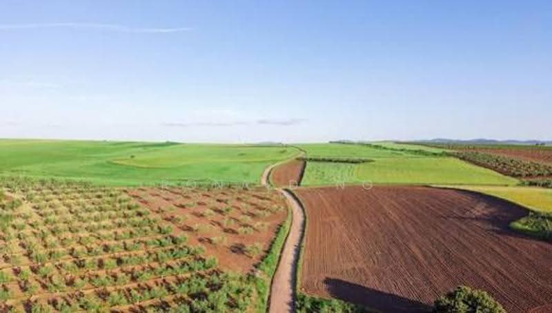 Agricultural Land for Sale in Balik Pulau (Penang) - Ronald Ng - Exterior - PropertyGuru.com.my
