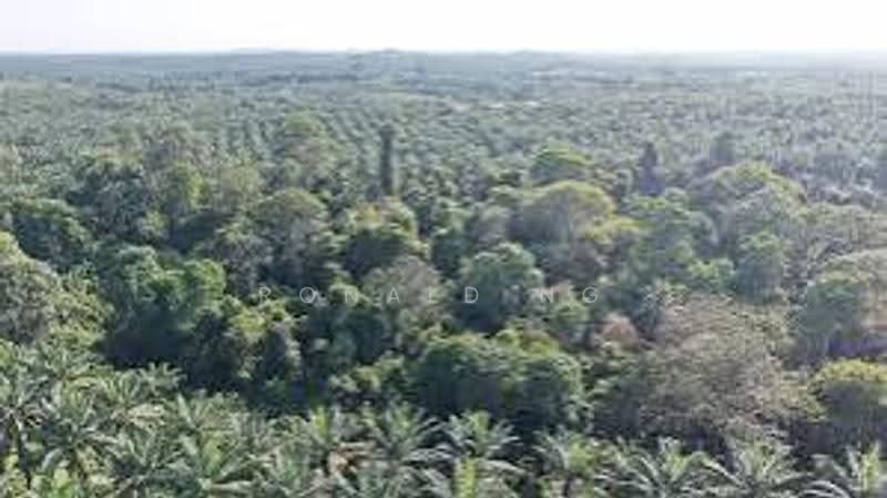 Agricultural Land for Sale in Balik Pulau (Penang) - Ronald Ng - PropertyGuru.com.my