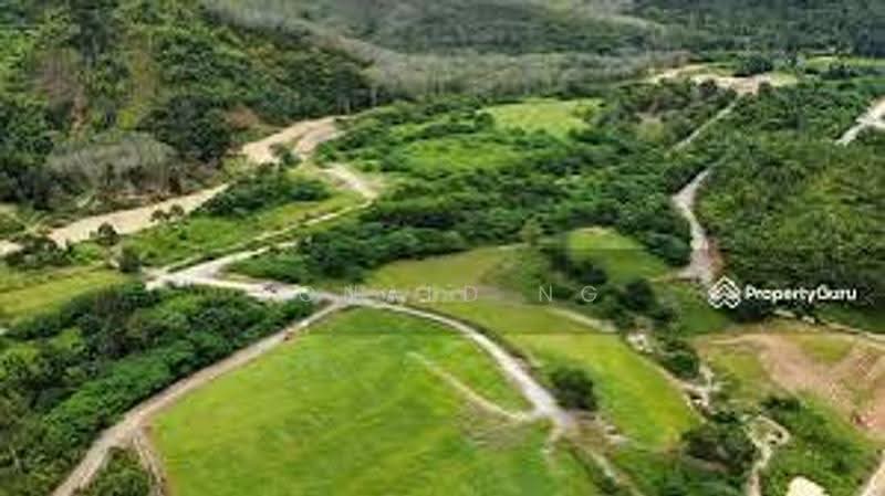 Agricultural Land for Sale in Balik Pulau (Penang) - Ronald Ng - PropertyGuru.com.my