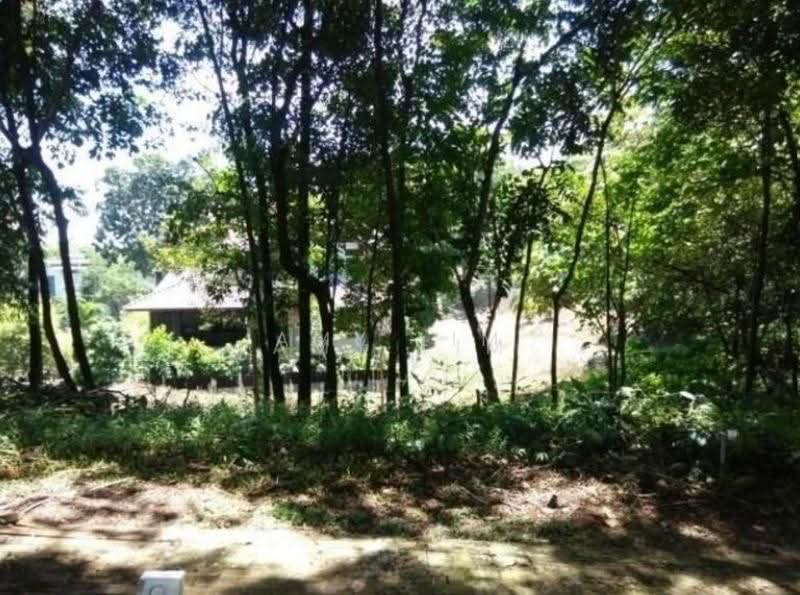 Tanah Kediaman untuk Dijual di Bukit Gasing (Petaling Jaya) - Amy Lim - Exterior - PropertyGuru.com.my