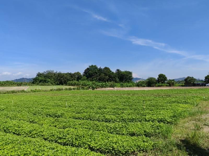 Agricultural Land for Sale in Rawang (Selangor) - Bella Leong - PropertyGuru.com.my