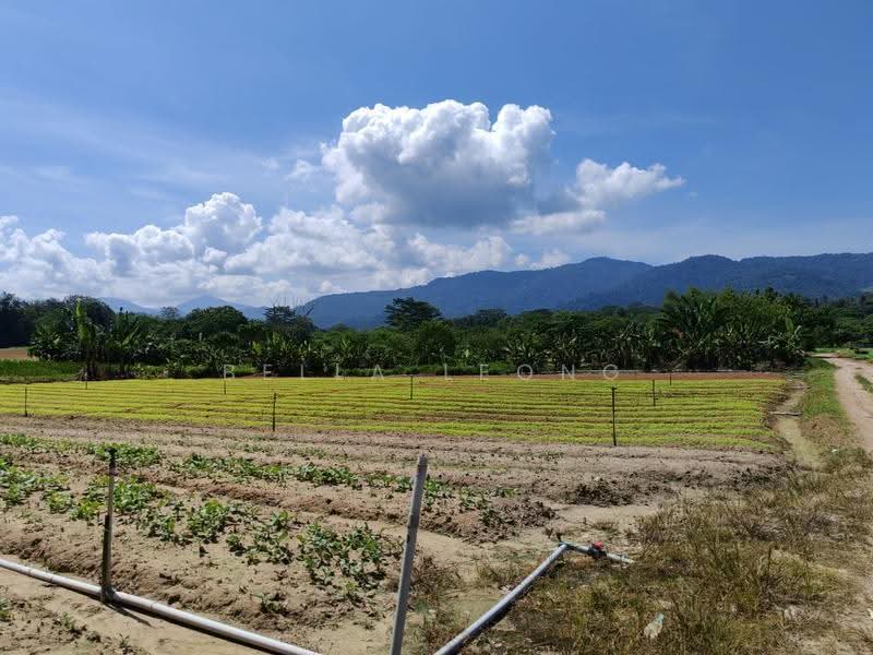 Agricultural Land for Sale in Rawang (Selangor) - Bella Leong - Garden - PropertyGuru.com.my