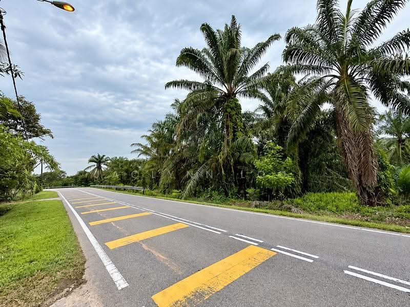 Tanah Pertanian untuk Dijual di Pekan Nanas (Johor) - Jaclynn Looi - PropertyGuru.com.my
