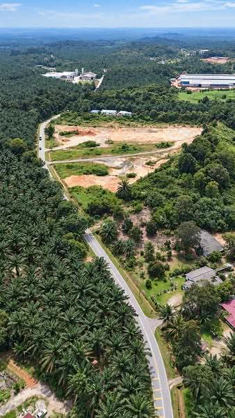 Tanah Pertanian untuk Dijual di Pekan Nanas (Johor) - Jaclynn Looi - Exterior - PropertyGuru.com.my