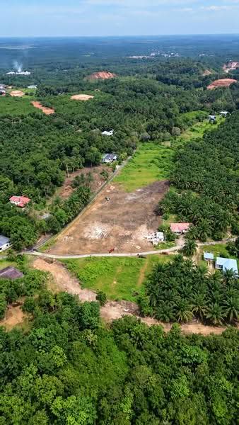 Tanah Pertanian untuk Dijual di Pekan Nanas (Johor) - Jaclynn Looi - Exterior - PropertyGuru.com.my