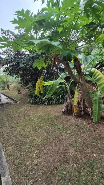 Bungalow House for Sale in Seksyen 12 (Petaling Jaya) - Jessie Sandhu - PropertyGuru.com.my