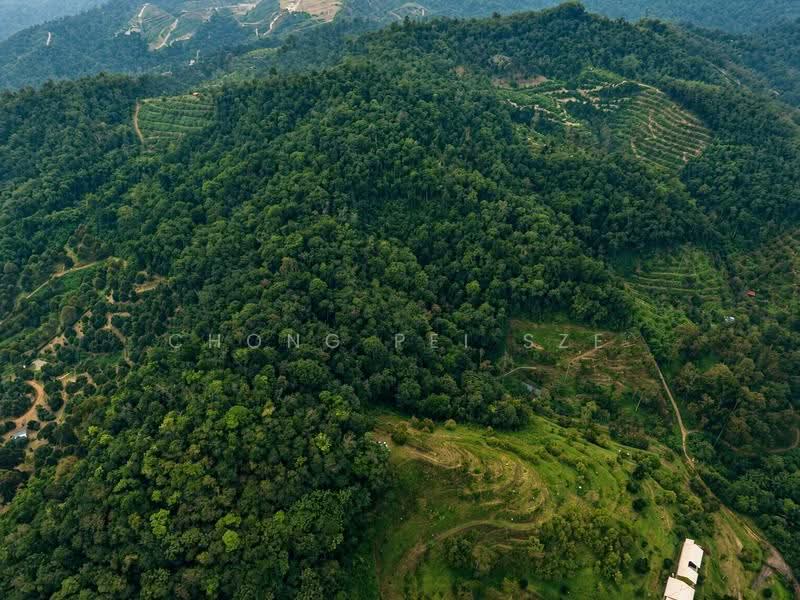 Agricultural Land for Sale in Taman Mawar (Bentong) - Chong Pei Sze - PropertyGuru.com.my