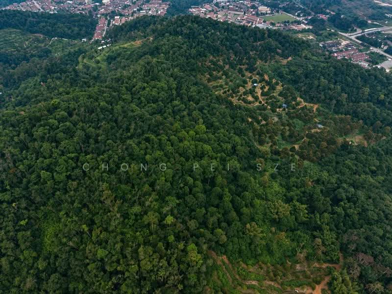 Agricultural Land for Sale in Taman Mawar (Bentong) - Chong Pei Sze - PropertyGuru.com.my