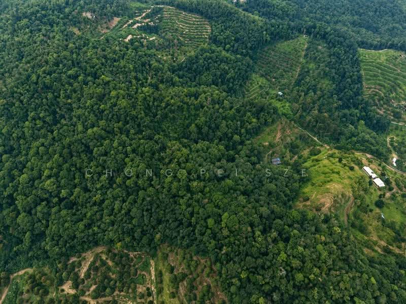 Agricultural Land for Sale in Taman Mawar (Bentong) - Chong Pei Sze - PropertyGuru.com.my