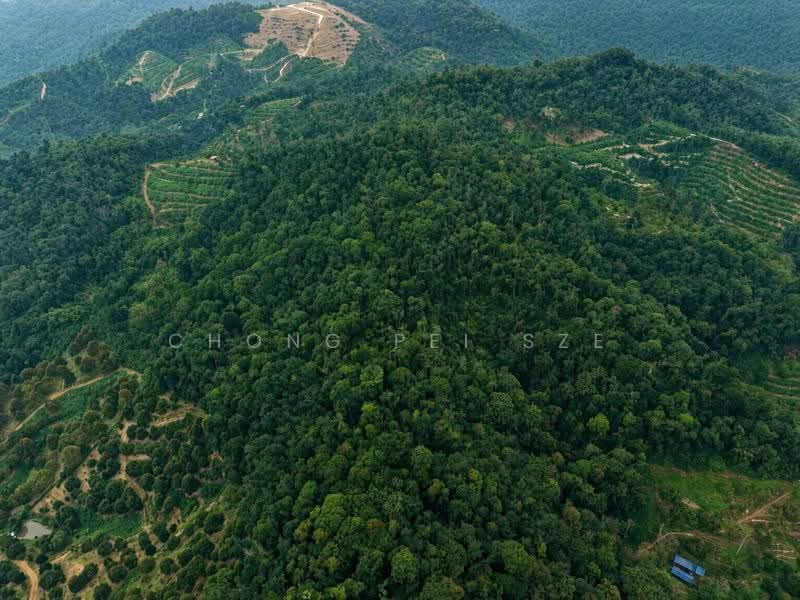Agricultural Land for Sale in Taman Mawar (Bentong) - Chong Pei Sze - PropertyGuru.com.my