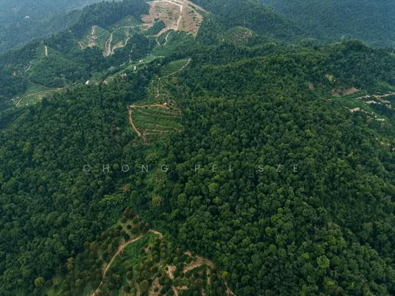 Agricultural Land for Sale in Taman Mawar (Bentong) - Chong Pei Sze - PropertyGuru.com.my