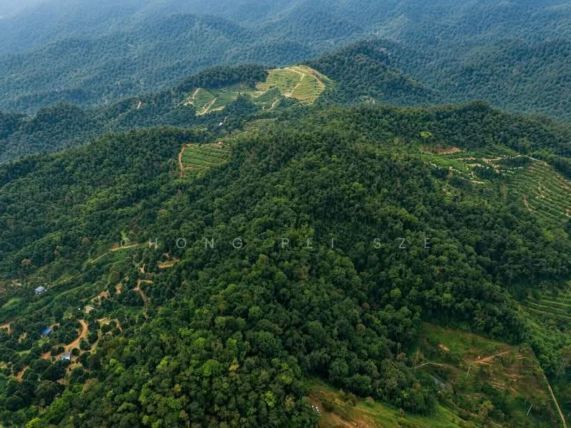 Agricultural Land for Sale in Taman Mawar (Bentong) - Chong Pei Sze - PropertyGuru.com.my