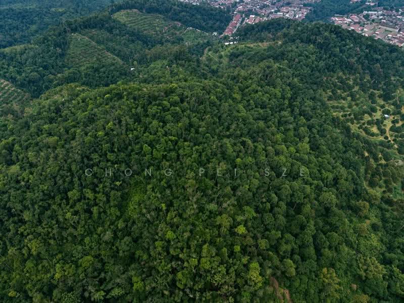 Agricultural Land for Sale in Taman Mawar (Bentong) - Chong Pei Sze - PropertyGuru.com.my