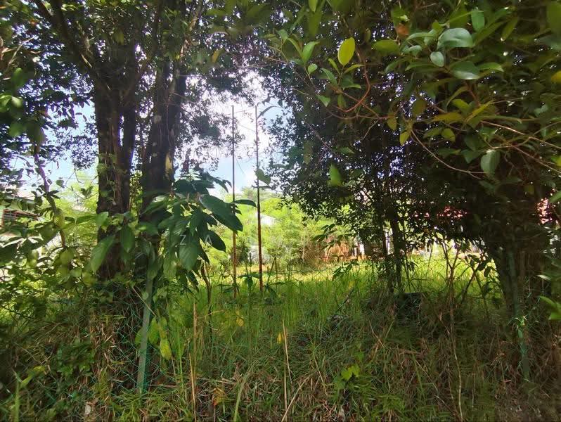 Residential Land for Sale in Sungai Merab (Kajang) - Zai Muda - PropertyGuru.com.my