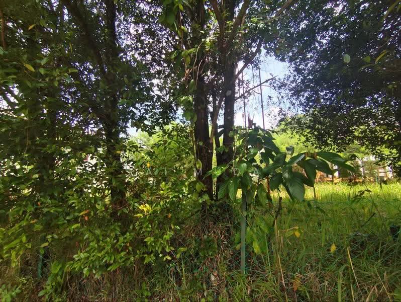 Residential Land for Sale in Sungai Merab (Kajang) - Zai Muda - PropertyGuru.com.my