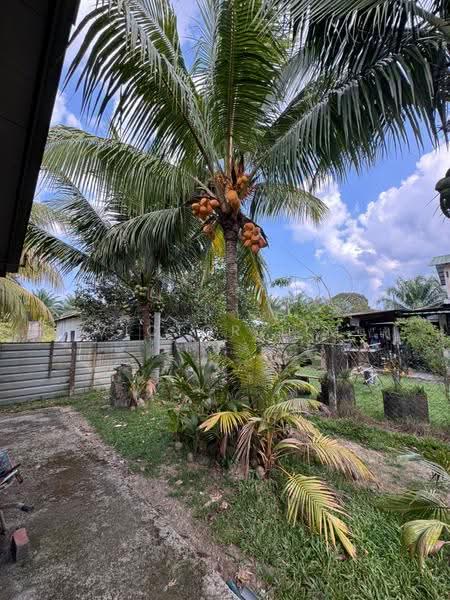 Tanah Pertanian untuk Dijual di Kota Tinggi (Johor) - Victor Lim - PropertyGuru.com.my