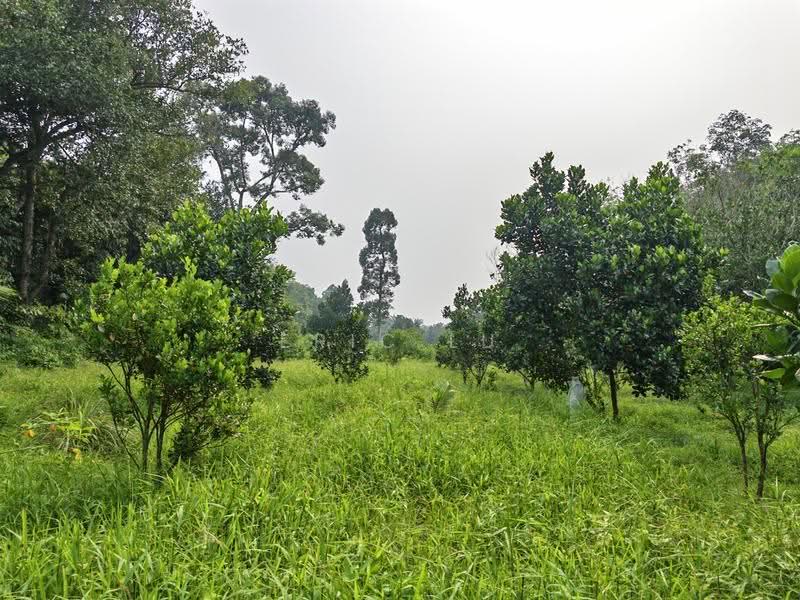 Tanah Pertanian untuk Dijual di Kampung Rambah (Pontian) - Eric Lu - PropertyGuru.com.my