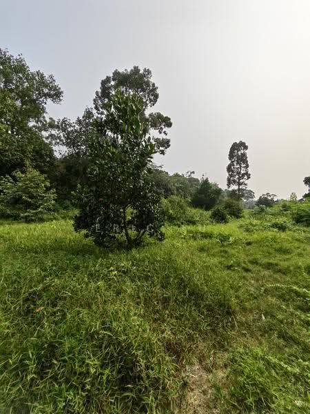 Tanah Pertanian untuk Dijual di Kampung Rambah (Pontian) - Eric Lu - PropertyGuru.com.my