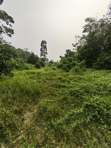 Tanah Pertanian untuk Dijual di Kampung Rambah (Pontian) - Eric Lu - PropertyGuru.com.my