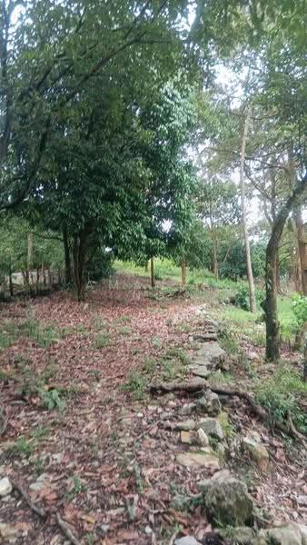 Tanah Pertanian untuk Dijual di Serendah (Rawang) - Amanda Ng - Exterior - PropertyGuru.com.my