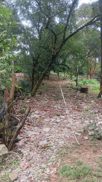 Tanah Pertanian untuk Dijual di Serendah (Rawang) - Amanda Ng - PropertyGuru.com.my