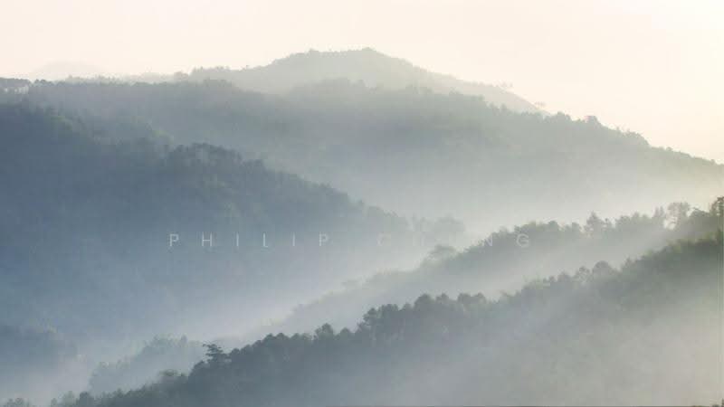 Tanah Kediaman untuk Dijual di Tropicana (Selangor) - Philip Chung - PropertyGuru.com.my