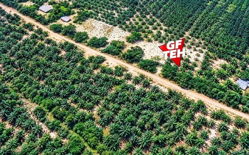Residential Land for Sale in Jertih (Terengganu) - Teh Guan Fong - PropertyGuru.com.my