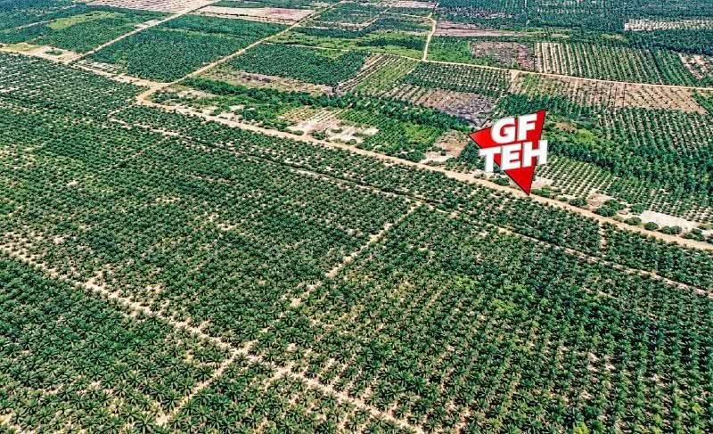 Residential Land for Sale in Jertih (Terengganu) - Teh Guan Fong - PropertyGuru.com.my