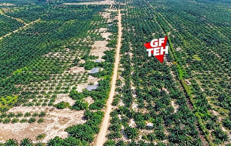 Residential Land for Sale in Jertih (Terengganu) - Teh Guan Fong - PropertyGuru.com.my