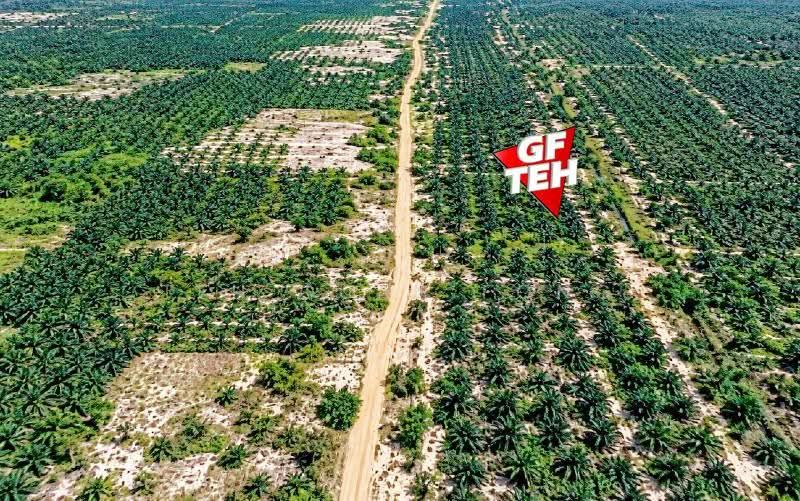 Residential Land for Sale in Jertih (Terengganu) - Teh Guan Fong - PropertyGuru.com.my