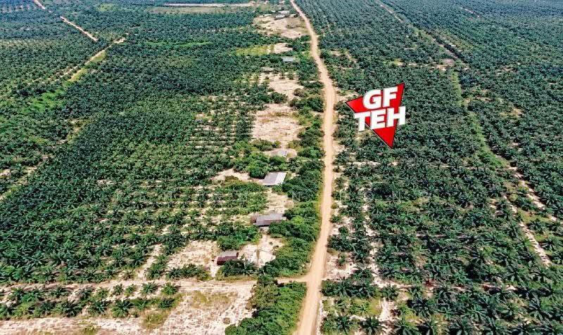 Residential Land for Sale in Jertih (Terengganu) - Teh Guan Fong - PropertyGuru.com.my