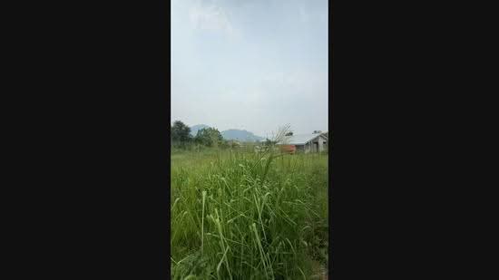 Tanah Kediaman untuk Dijual di Taman Ampang (Ipoh) - Marcus Seng - PropertyGuru.com.my