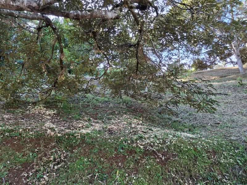 Tanah Banglo untuk Dijual di Tapah (Perak) - William Gooi - PropertyGuru.com.my