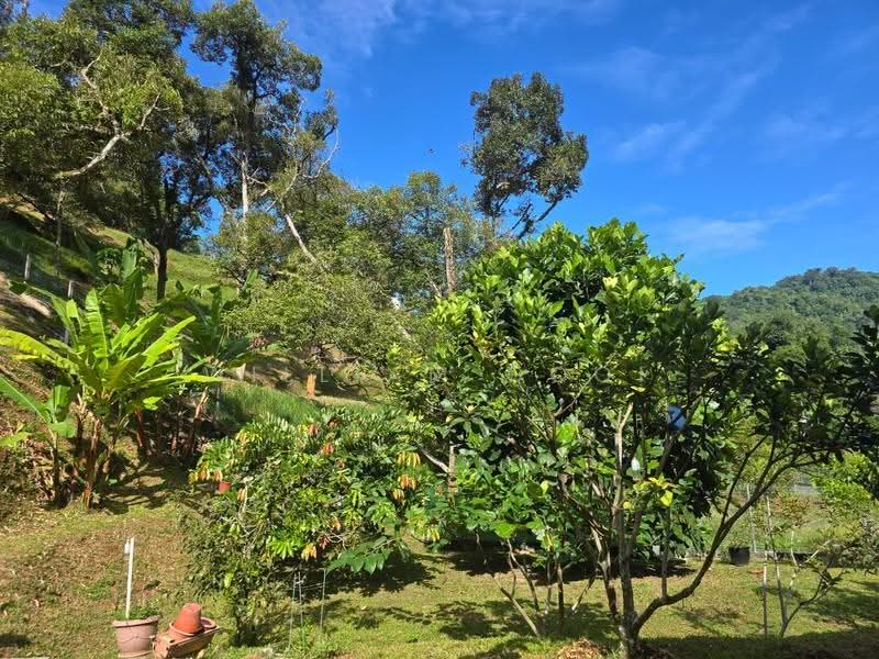 Tanah Banglo untuk Dijual di Tapah (Perak) - William Gooi - Garden - PropertyGuru.com.my