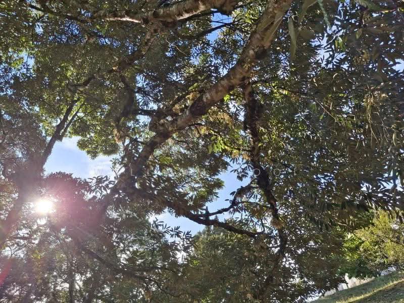 Tanah Banglo untuk Dijual di Tapah (Perak) - William Gooi - PropertyGuru.com.my