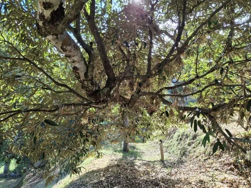 Tanah Banglo untuk Dijual di Tapah (Perak) - William Gooi - PropertyGuru.com.my