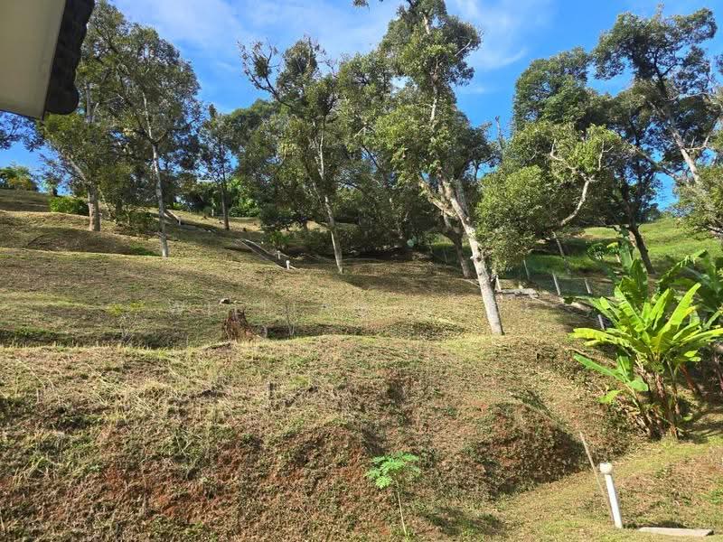 Tanah Banglo untuk Dijual di Tapah (Perak) - William Gooi - Exterior - PropertyGuru.com.my