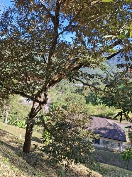 Tanah Banglo untuk Dijual di Tapah (Perak) - William Gooi - Exterior - PropertyGuru.com.my