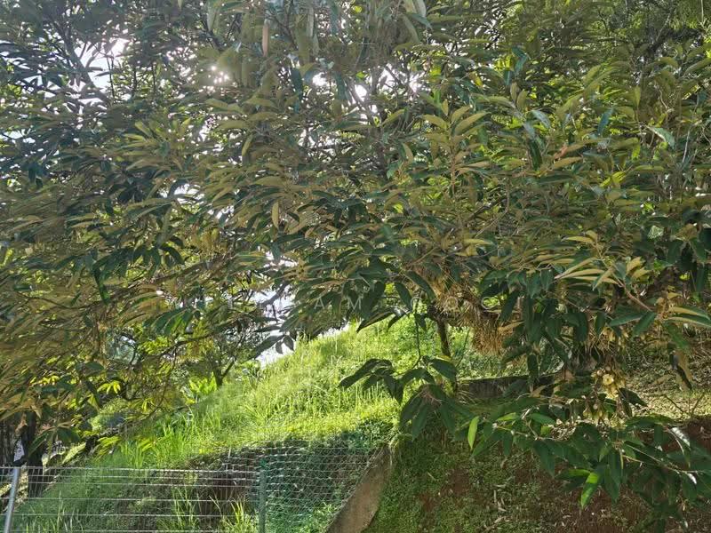 Tanah Banglo untuk Dijual di Tapah (Perak) - William Gooi - PropertyGuru.com.my